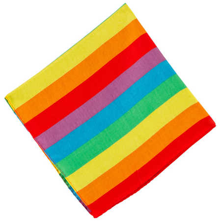 Pride bandana