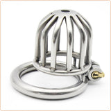 Asylum chastity device