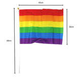 Pride hand held flag